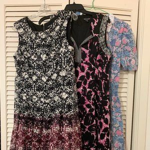 3 Dress Bundle - Petite 14 (Dressbarn brands)